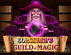 Sorcerer's Guild of Magic